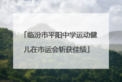 临汾市平阳中学运动健儿在市运会斩获佳绩