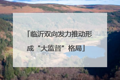 临沂双向发力推动形成“大监督”格局