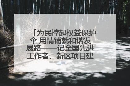 为民撑起权益保护伞 用情铺就和谐发展路——记全国先进工作者、新区项目建设中心干部卢小勇