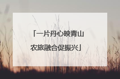 一片丹心映青山 农旅融合促振兴