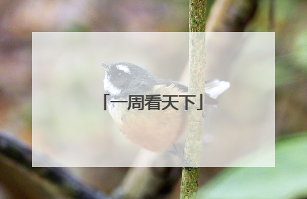 一周看天下