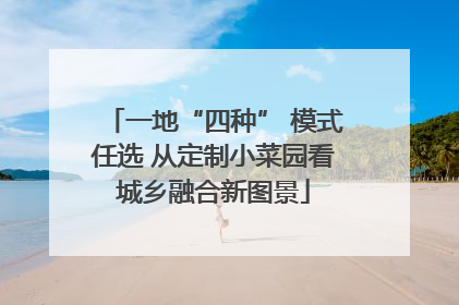 一地“四种” 模式任选 从定制小菜园看城乡融合新图景