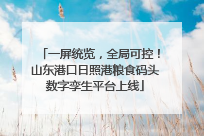 一屏统览，全局可控！山东港口日照港粮食码头数字孪生平台上线