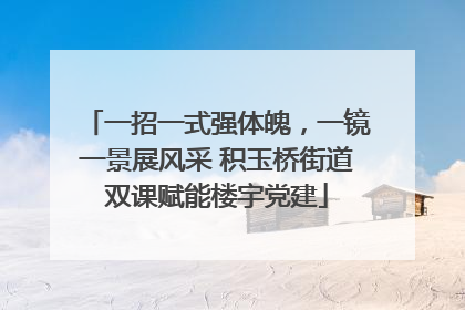 一招一式强体魄，一镜一景展风采 积玉桥街道双课赋能楼宇党建