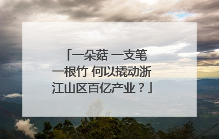 一朵菇 一支笔 一根竹 何以撬动浙江山区百亿产业？