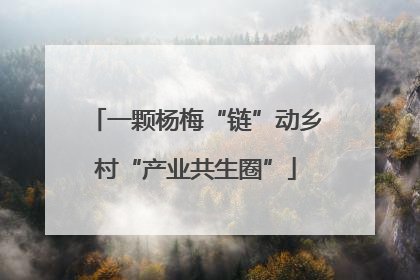 一颗杨梅“链”动乡村“产业共生圈”