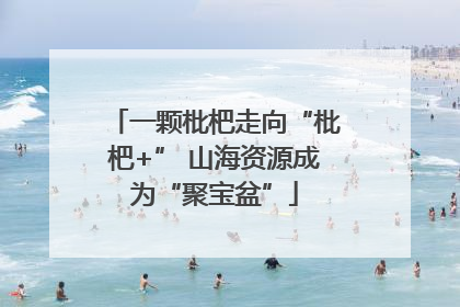 一颗枇杷走向“枇杷+” 山海资源成为“聚宝盆”