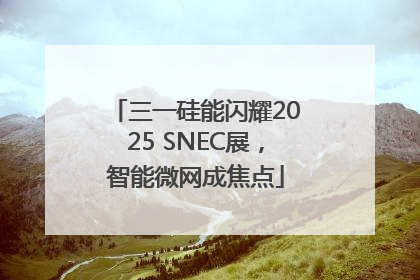 三一硅能闪耀2025 SNEC展，智能微网成焦点