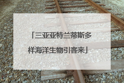 三亚亚特兰蒂斯多样海洋生物引客来