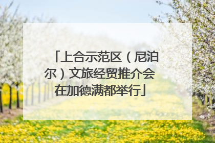 上合示范区（尼泊尔）文旅经贸推介会在加德满都举行