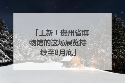 上新！贵州省博物馆的这场展览持续至8月底