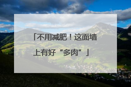 不用减肥！这面墙上有好“多肉”