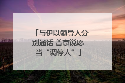 与伊以领导人分别通话 普京说愿当“调停人”