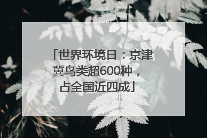 世界环境日：京津冀鸟类超600种，占全国近四成