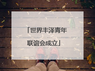世界丰泽青年联谊会成立