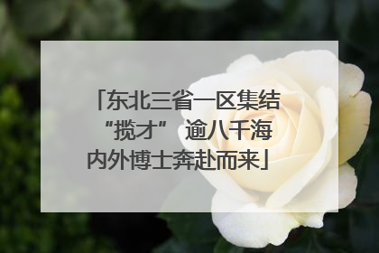 东北三省一区集结“揽才” 逾八千海内外博士奔赴而来
