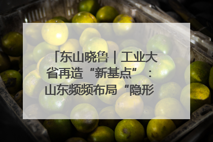东山晓鲁｜工业大省再造“新基点”：山东频频布局“隐形冠军”背后