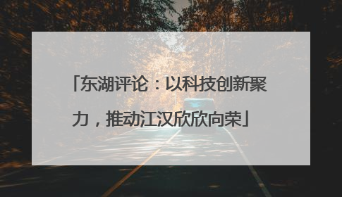 东湖评论：以科技创新聚力，推动江汉欣欣向荣