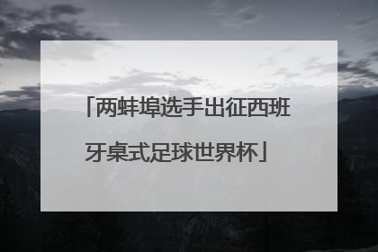 两蚌埠选手出征西班牙桌式足球世界杯