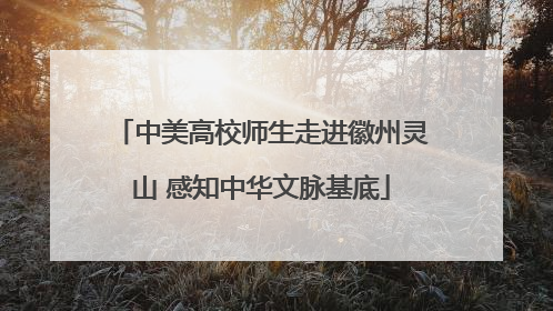 中美高校师生走进徽州灵山 感知中华文脉基底