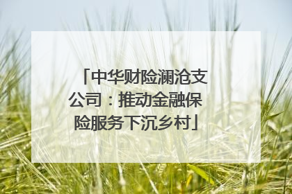 中华财险澜沧支公司：推动金融保险服务下沉乡村