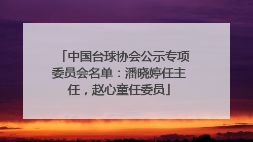 中国台球协会公示专项委员会名单：潘晓婷任主任，赵心童任委员