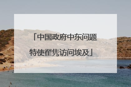 中国政府中东问题特使翟隽访问埃及