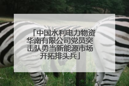 中国水利电力物资华南有限公司党员突击队勇当新能源市场开拓排头兵