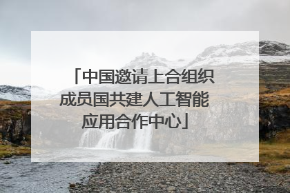 中国邀请上合组织成员国共建人工智能应用合作中心