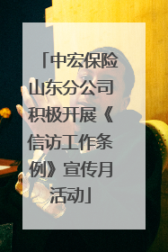 中宏保险山东分公司积极开展《信访工作条例》宣传月活动