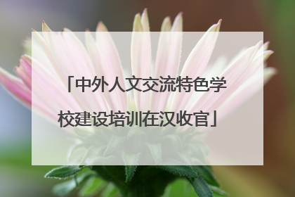 中外人文交流特色学校建设培训在汉收官