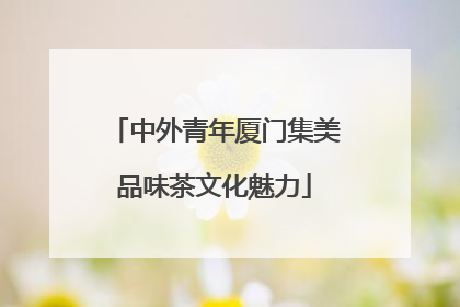 中外青年厦门集美品味茶文化魅力