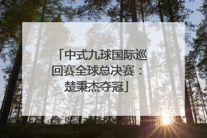 中式九球国际巡回赛全球总决赛：楚秉杰夺冠