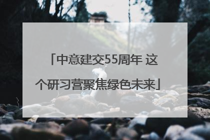 中意建交55周年 这个研习营聚焦绿色未来