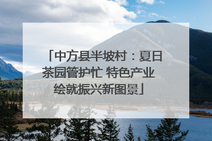 中方县半坡村：夏日茶园管护忙 特色产业绘就振兴新图景