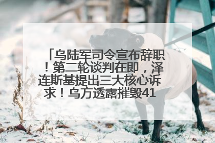 乌陆军司令宣布辞职！第二轮谈判在即，泽连斯基提出三大核心诉求！乌方透露摧毁41架俄战略轰炸机