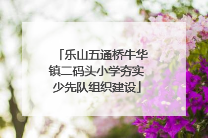 乐山五通桥牛华镇二码头小学夯实少先队组织建设