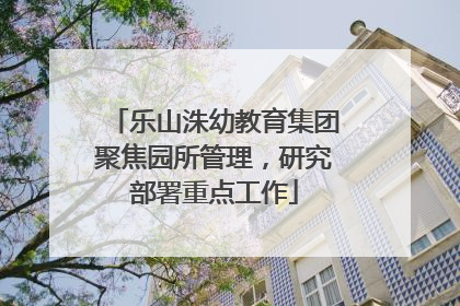 乐山洙幼教育集团聚焦园所管理，研究部署重点工作