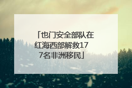 也门安全部队在红海西部解救177名非洲移民
