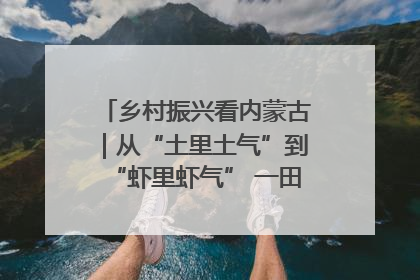 乡村振兴看内蒙古｜从“土里土气”到“虾里虾气” 一田双收模式火出圈