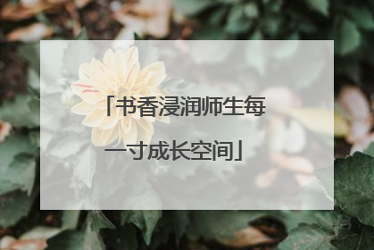 书香浸润师生每一寸成长空间