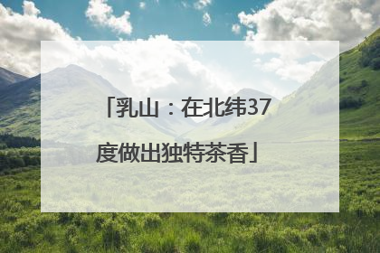 乳山：在北纬37度做出独特茶香