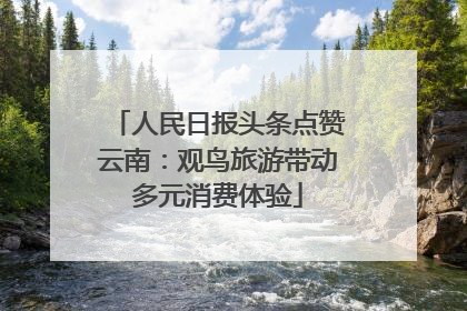 人民日报头条点赞云南：观鸟旅游带动多元消费体验