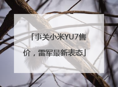 事关小米YU7售价，雷军最新表态