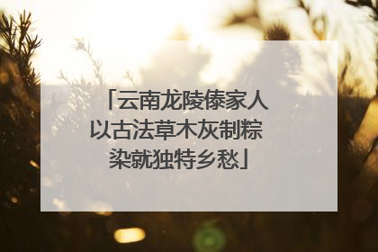 云南龙陵傣家人以古法草木灰制粽 染就独特乡愁