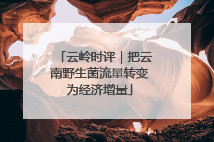 云岭时评｜把云南野生菌流量转变为经济增量