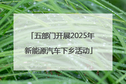 五部门开展2025年新能源汽车下乡活动