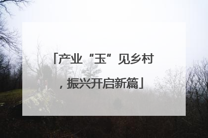 产业“玉”见乡村，振兴开启新篇