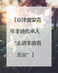 京津冀蒙青年非遗传承人“走进非遗看北京”