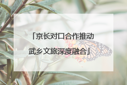 京长对口合作推动武乡文旅深度融合